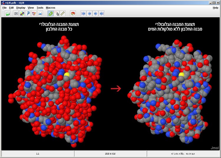 Figure 8: The IPNS protein model in the CPK Spacefill display before (left) and after (right) omitting the water molecules from the model