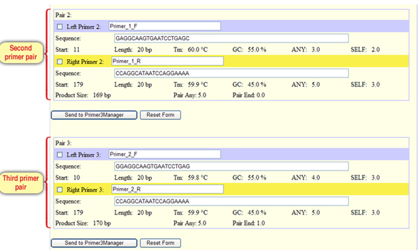 Screen 5: The results page - the characteristics of the rest of the primer pairs and the expected amplification products