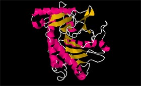 Screen 4: The IPNS protein structure in a secondary structure display (Cartoon)