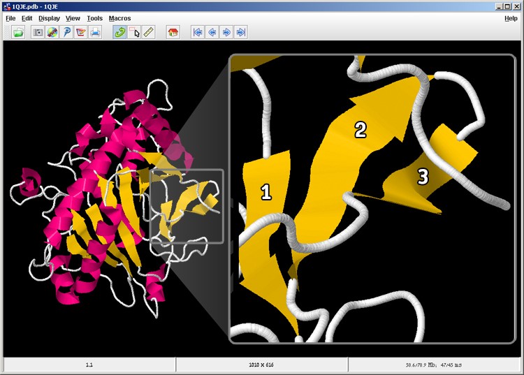 Screen 5: there are two beta sheets in the IPNS enzyme. On the right you can see a magnification of the beta sheet marked with a grey square, while each beta strand is numbered.