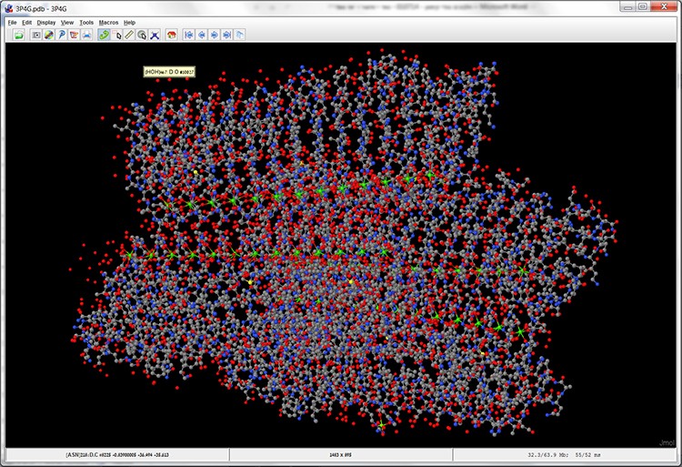 Screen 4: The model of the MpAFP protein structure in a balls and sticks display (Ball and Stick).