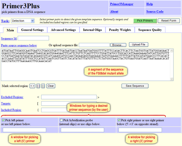 Screen 8: The Primer3Plus tool allows users to determine the sequence of one of the primers or both