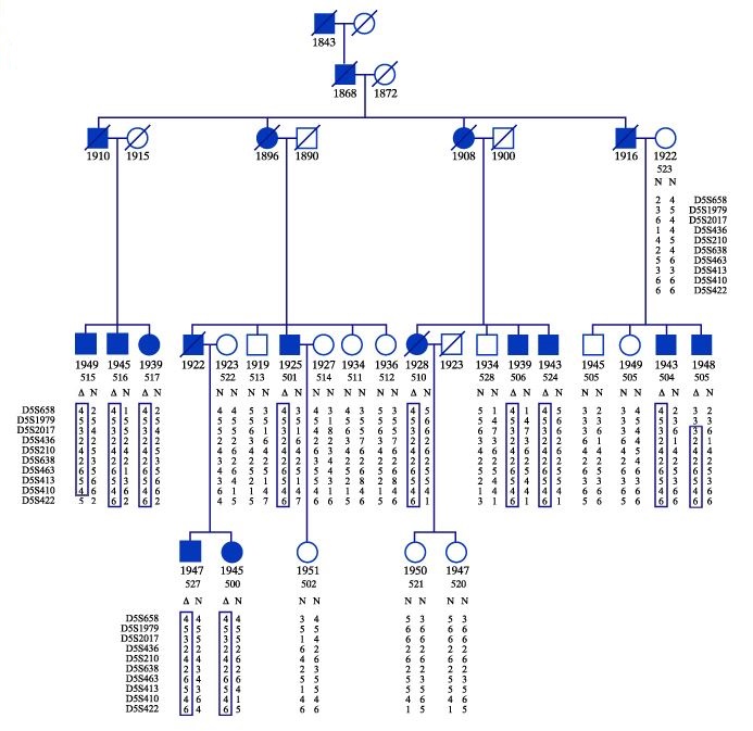 5.	Dynasty with different genetic markers names and serial numbers of pairs of alleles of different genetic markers. It's a family dynasty that gene involved in inherited hearing process, the numbers represent different sequences from one another (single base differences enough), various properties normal population.