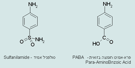 המבנה הכימי של פרא-אמינו חומצה בזואית ושל סולפניל אמיד
