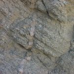 דייק פגמטיטי בסלע מותמר בהר שלמה