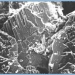 אבן חול דרך מיקרוסקופ אלקטרוני סורק. להרחבה ראו הסבר לאחר התמונה