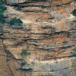 מבנה שכבתי של סלעים המכילים מאובנים