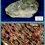 דוגמת יד ותצלום דרך מיקרוסקופ אור מקטב של סלע שיסט