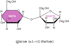 המבנה הכימי של סוכרוז המורכב מגלוקוז ופרוקטוז