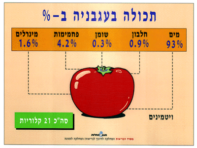 תכולת העגבניה באחוזים: 93% מים, 0.9% חלבון, 0.3% שומן, 4.2% פחמימות 1.6% מינרלים. בנוסף קיימים ויטמין, ובסך הכך 21 קלוריות