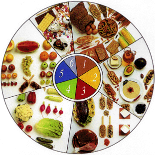 מעגל שבו מוצגים ששת קבוצות המזון: 1 דגנים ומוצרי מאפה; 2 מזונות עשירים בשומנים 3 מזונות עשירים בחלבונים; 4 ירקות; 5 פירות; 6. סוכרים ממתקים ומשקאות קלים