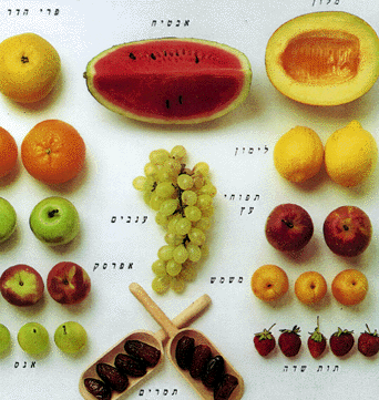 הפירות: מלון, אבטיח, פרי הדר, לימון, תפוחי עץ, ענבים, משמש, אפרסק, תות שדה, תמרים ואגס