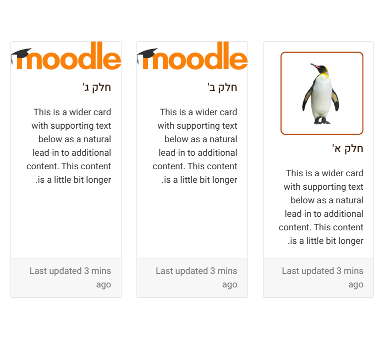 הדגמה כרטיסיות